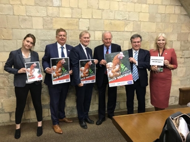 Sir David supports Bill to end cages for hens